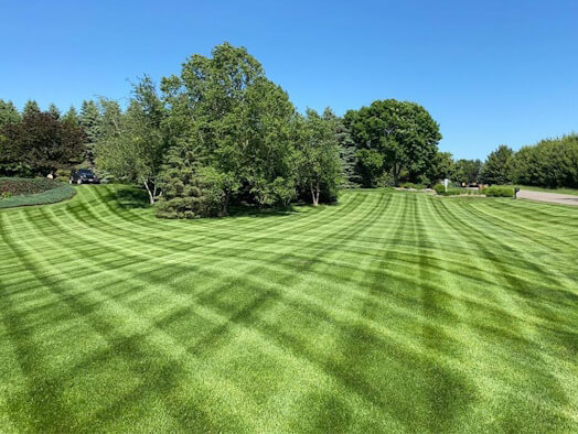 Weekly Lawn Care Minneapolis, MN